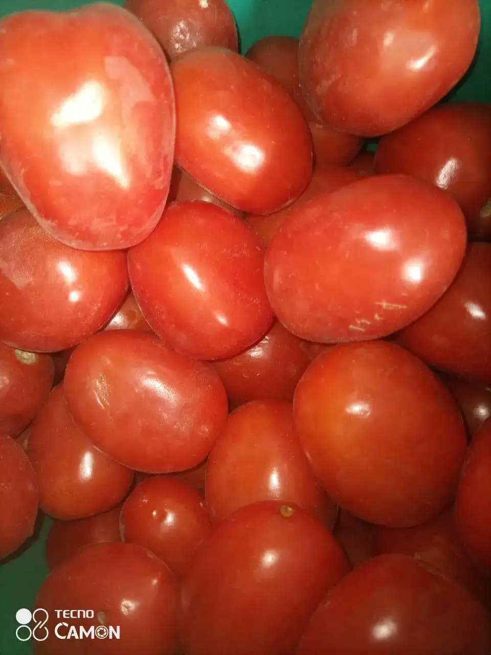 Tomato selling