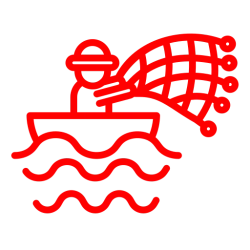 net_red